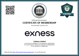 Exness For Trading A Comprehensive Review