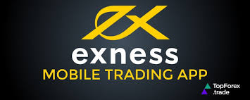 The Rise of Exness Cryptocurrency A New Era in Trading