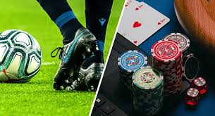 Todo lo que necesitas saber sobre Betwinner 14 Todo lo que necesitas saber sobre Betwinner 14