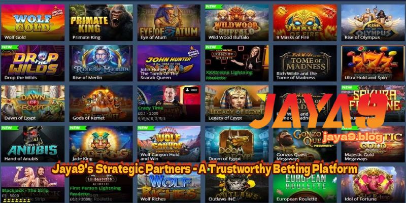 Essential Casino Gameplay Tips for New Players 176532127