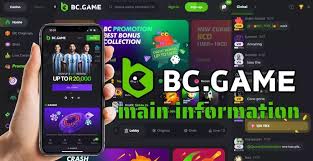 Understanding the BC.Game Mirror Login Process 694922863