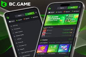 Understanding the BC.Game Mirror Login Process 694922863
